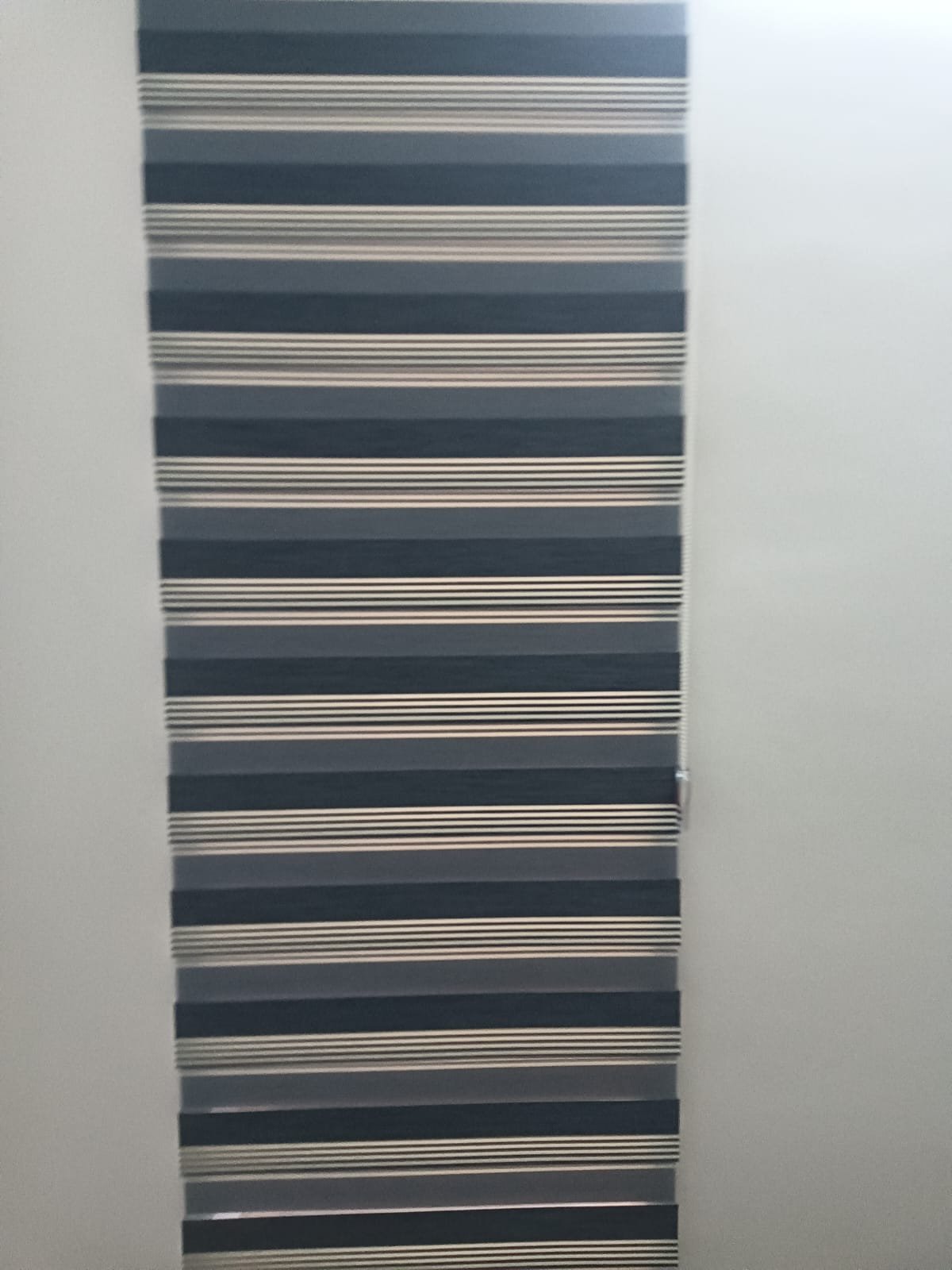 Untitled design (76)